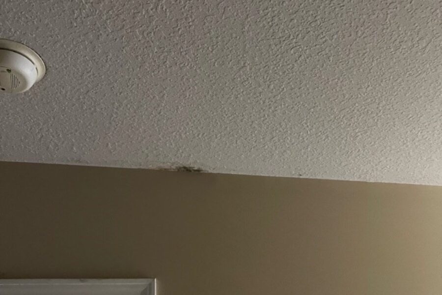 Close view of a textured white ceiling meeting a taupe wall, with a dark mark along the edge